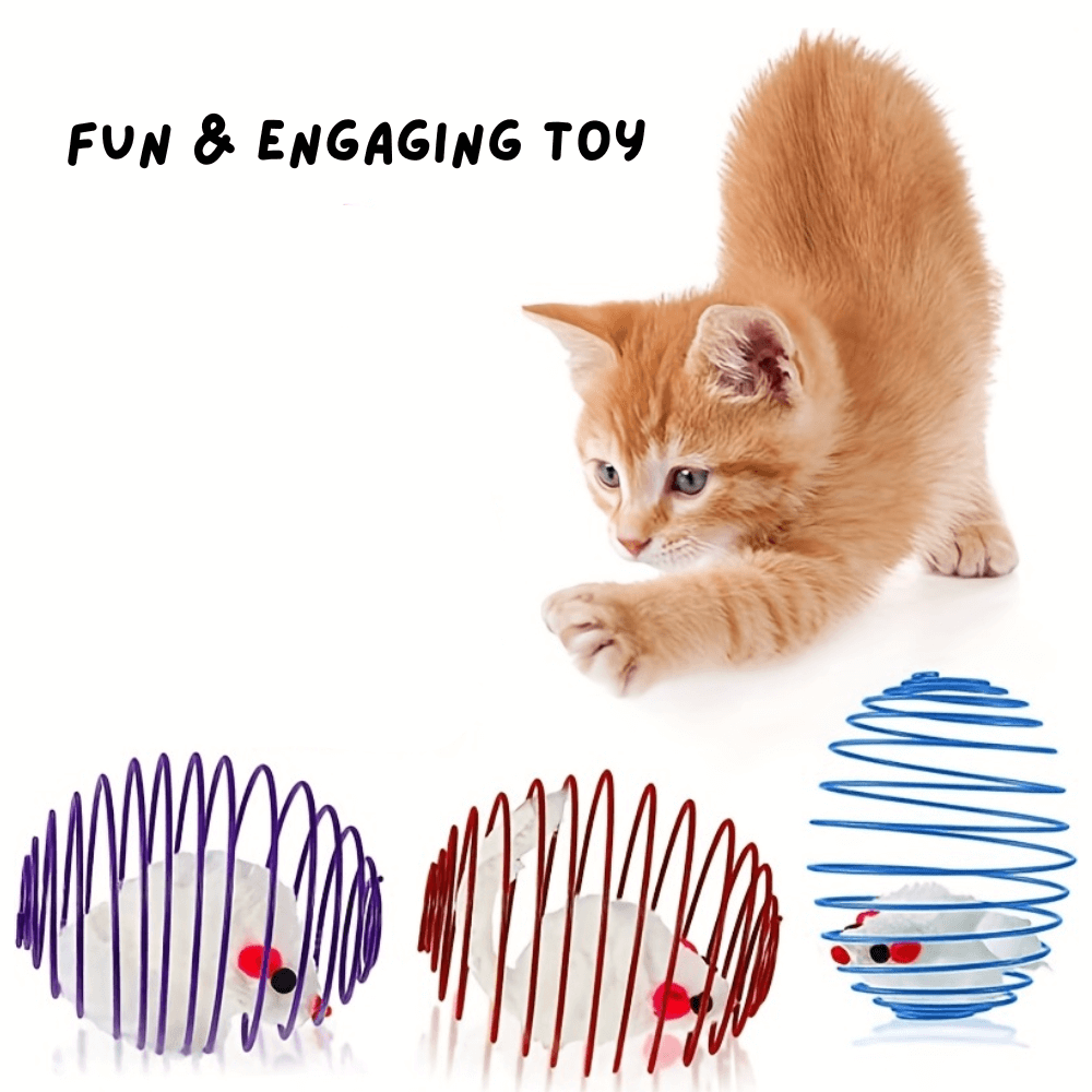 Interactive Cat Spring Toy Set