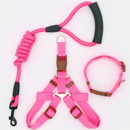 Pet Supplies Simple Dog Leash