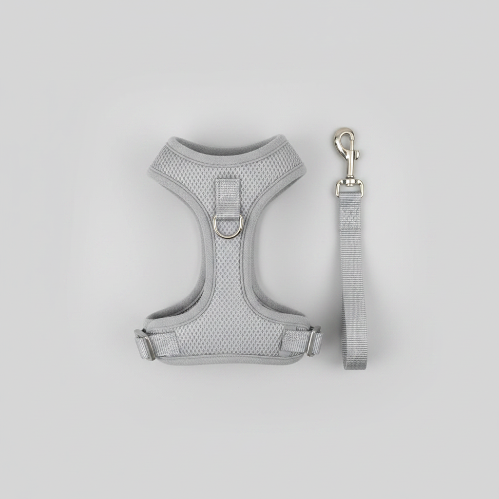 Flat Lay