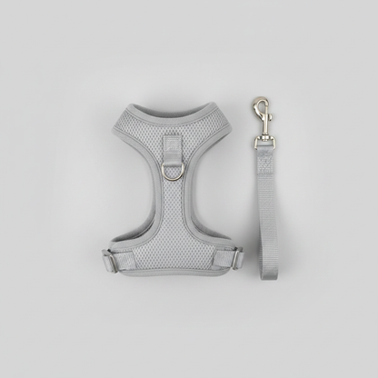Top-down flat lay of H-style cat harness and leash showing full H-shape structure