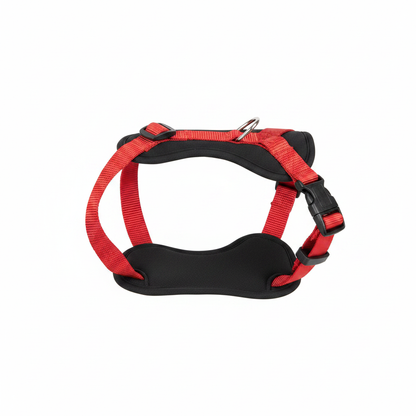 Y-shape dog harness in red nylon with silver D-ring and buckles