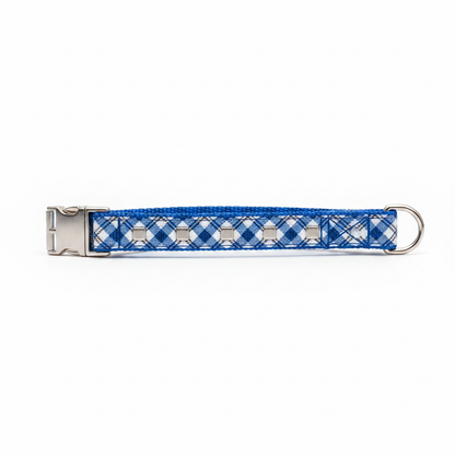 Plaid tartan dog collar in royal blue with silver square studs and D-ring