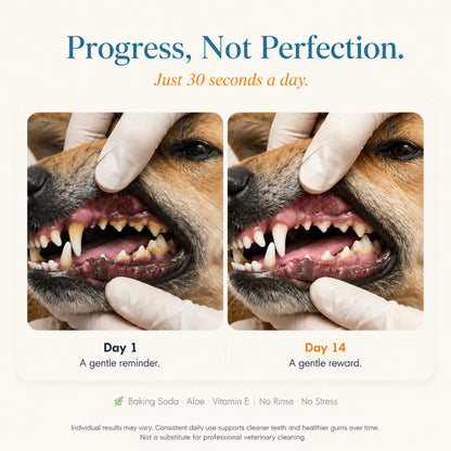 Natural, Odor-Fighting Pet Dental Wipes – Even for Brushing Haters